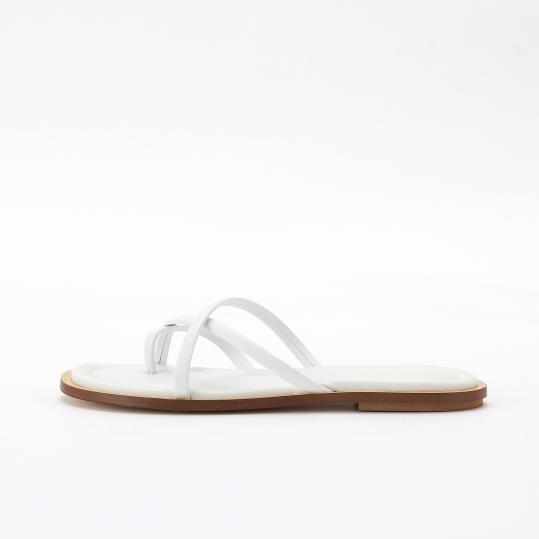 LY-LY24101