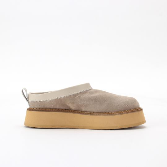 LY-LY24003