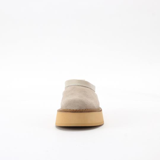 LY-LY24003