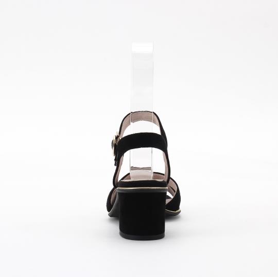LS-DO2454