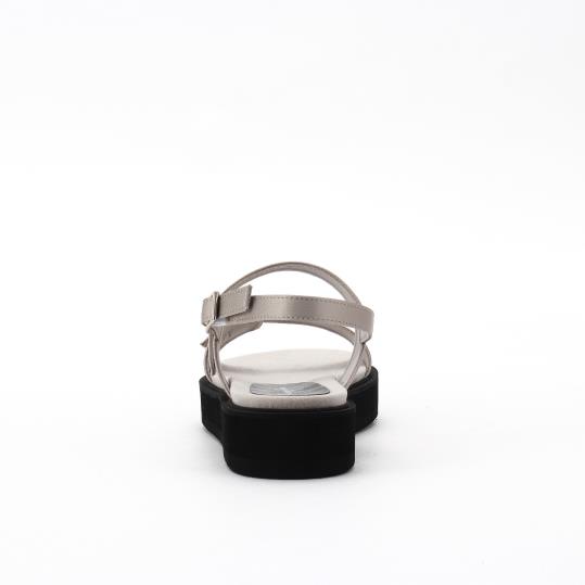 LS-FO2526