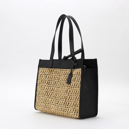 RP-RP245003