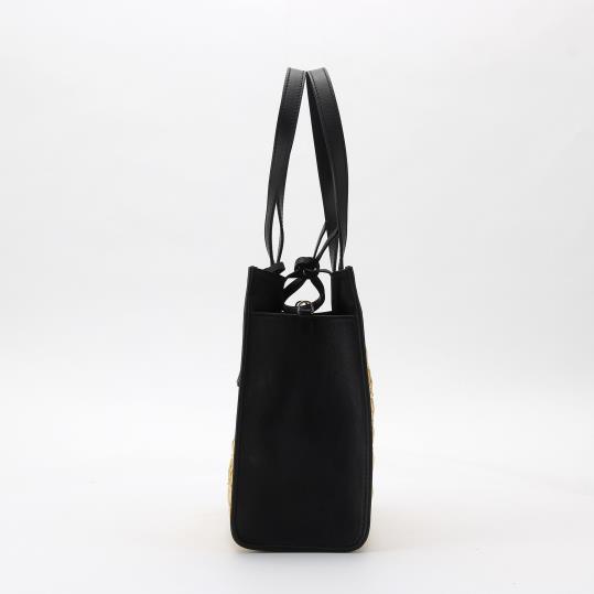 RP-RP245003