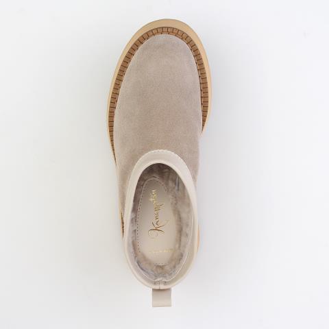 LY-LY24003