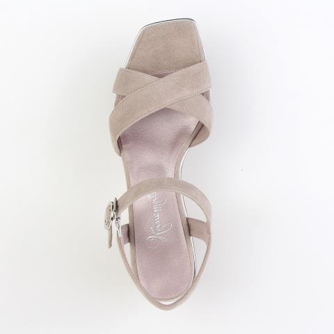 LS-DO2454