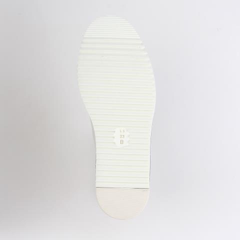 LS-GJ2465